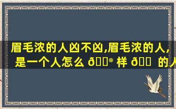 眉毛浓的人凶不凶,眉毛浓的人,是一个人怎么 💮 样 🐠 的人